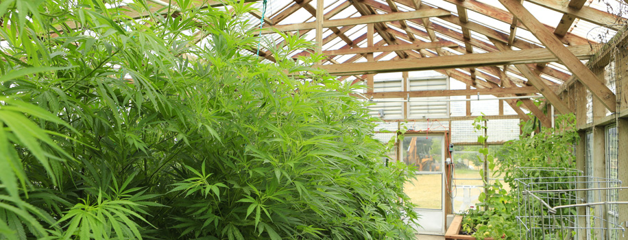 Security Solutions for Apartments in Crockett, TX